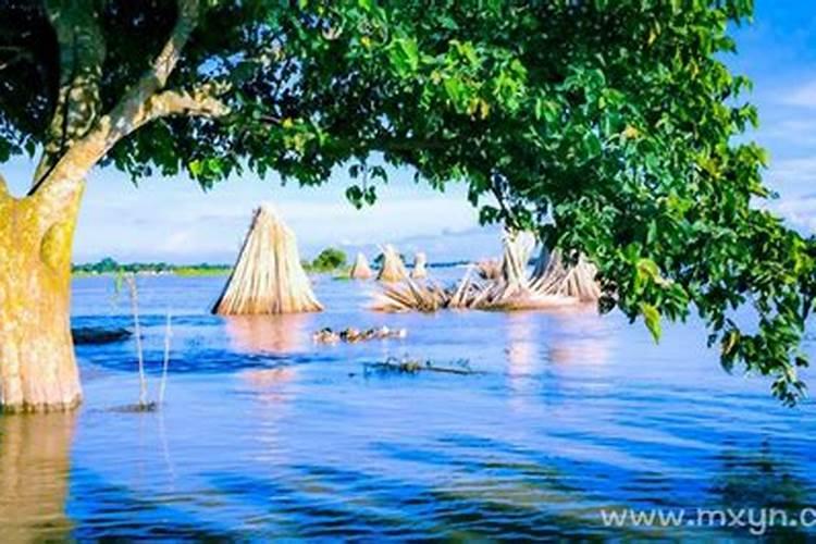 梦见洪水来势汹汹,但人没事