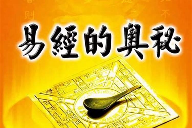重阳节都要做什么活动？