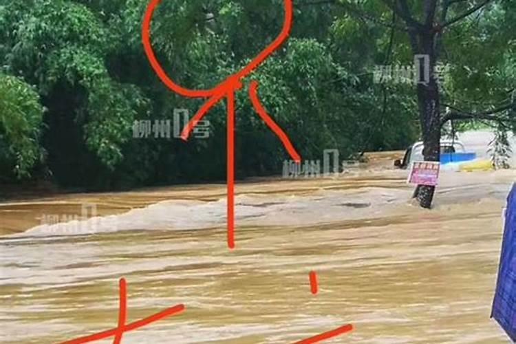梦见爬到树上躲避洪水的预兆
