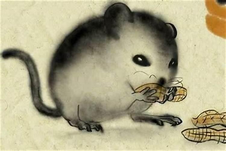 根据出生时间计算自己的命卦