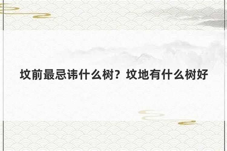 阴地风水最忌讳什么东西
