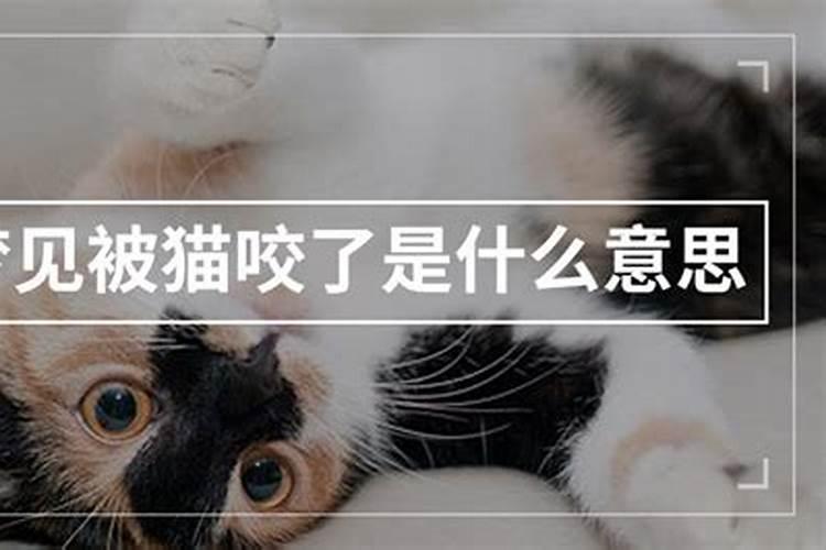 属龙人2025年的运气和财运