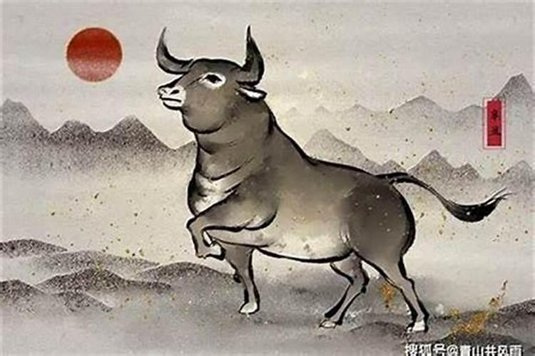 属牛人最苦命出生月份