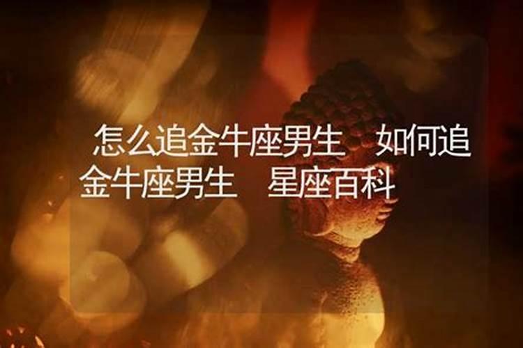 怎么追求金牛座男生