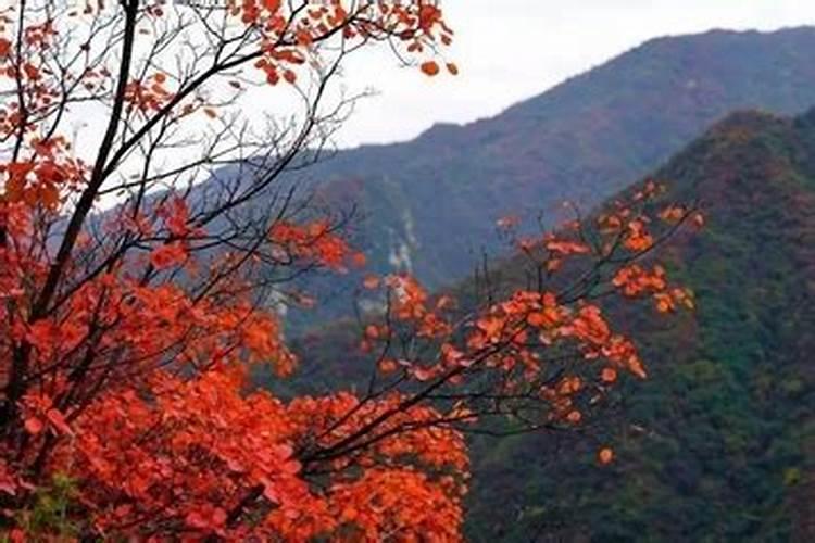 重阳节是为了纪念哪个人物
