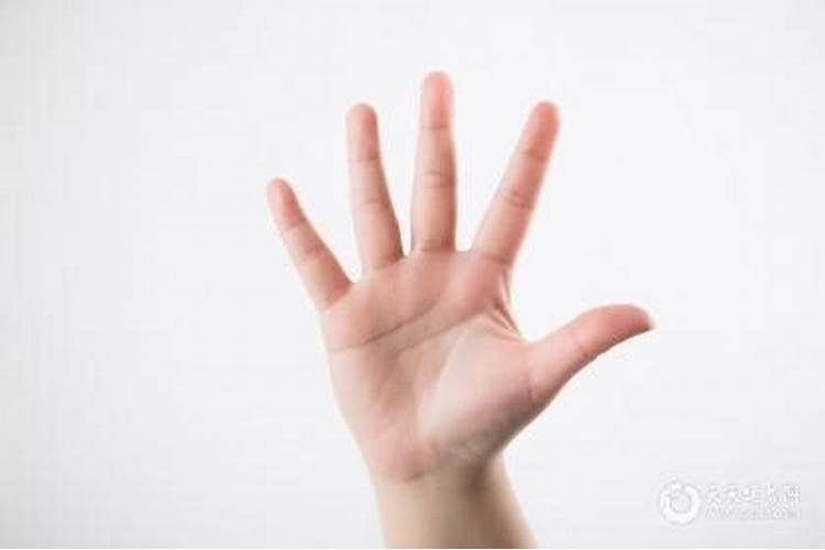 女人左手断掌大忌