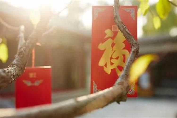 梦见梦踩着白骨走的预兆
