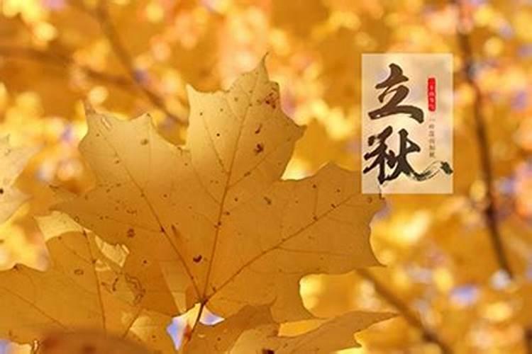 2024立秋是几月几日 具体哪一天