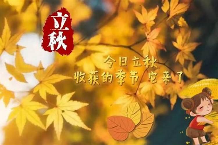 2024年立秋是哪天 具体几月几号