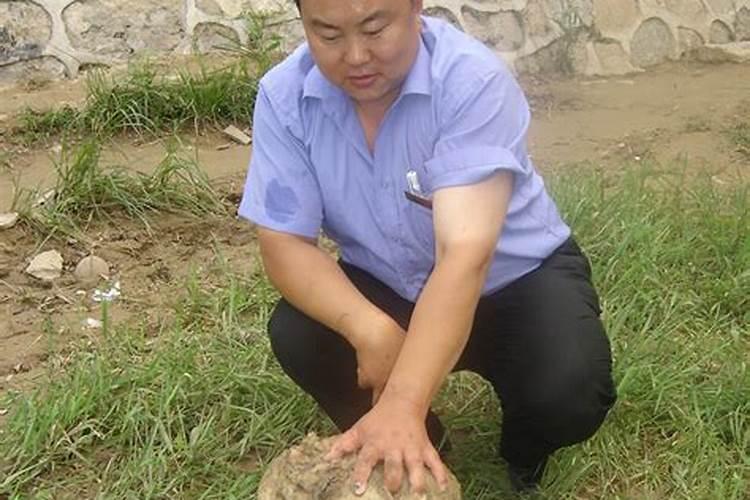 太岁头上的土是什么意思