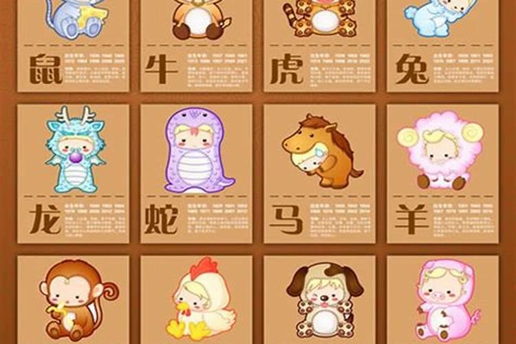 兔龙属相婚配 属兔的今年运势
