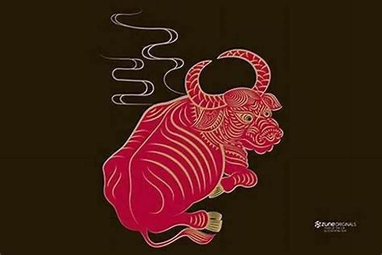 属牛的人一生命运