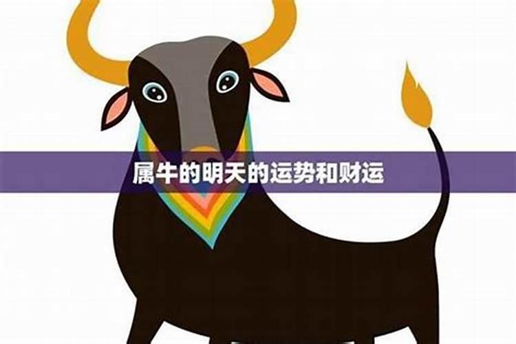 兄弟之间马与牛属相合不合,牛马属相会不会相克