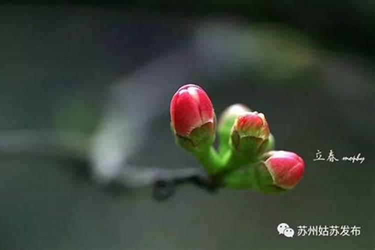 苏州立春那天可以办酒吗有没有讲究的？