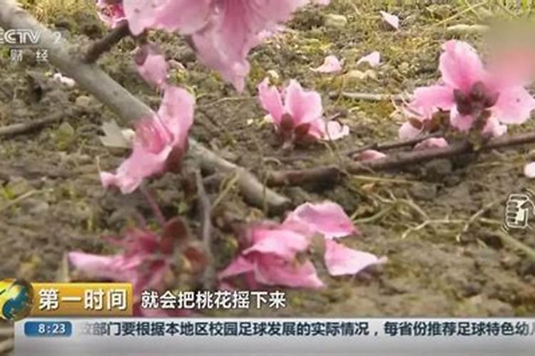 怎样补财库