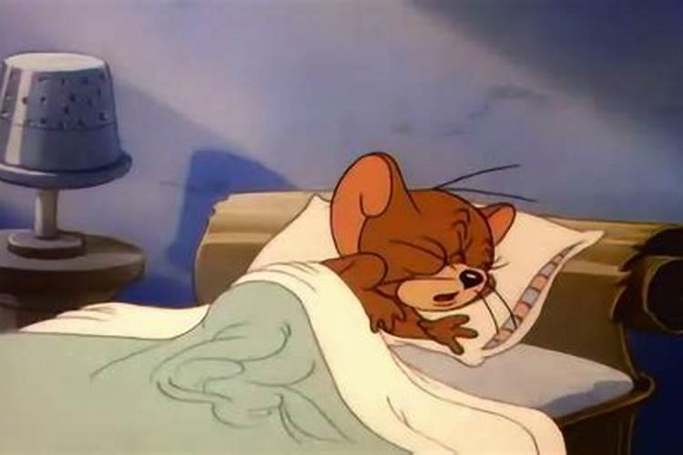梦见猫和老鼠死了的预兆