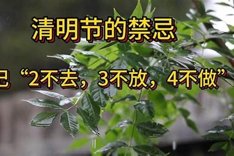 清明节的6大忌
