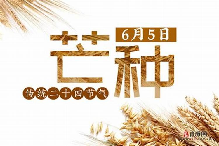 芒种后九天交运怎么算