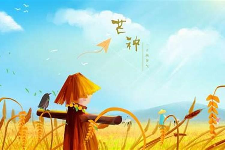 芒种后九天交运怎么算