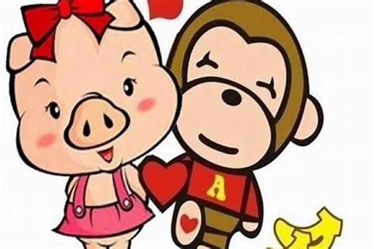 有属猴和属猪结婚的吗