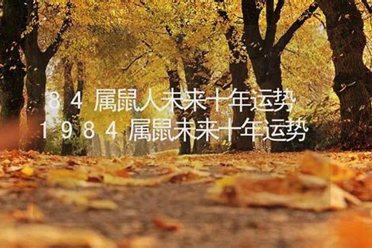1984年属鼠女2025年的运势和婚姻