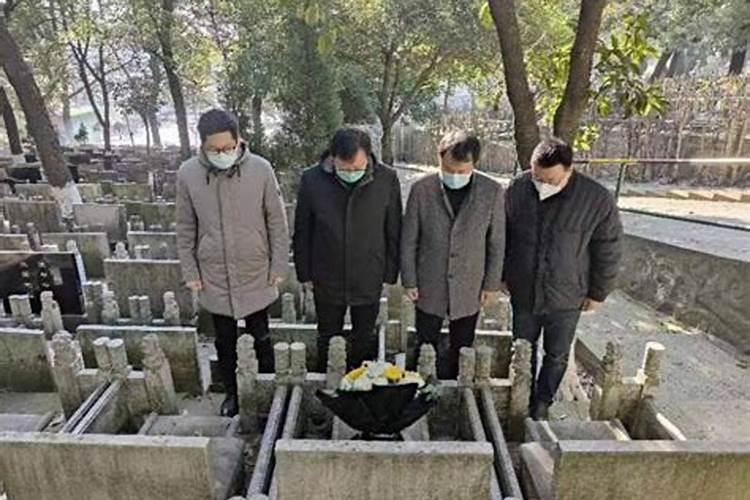 遇到死去的小动物给它们念什么好