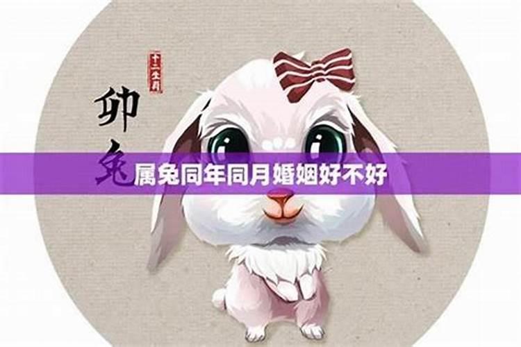 女的属兔的和什么属相最合适,属兔女人找什么属性好