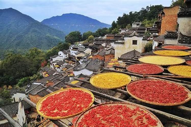 简短精辟的句子太绝了