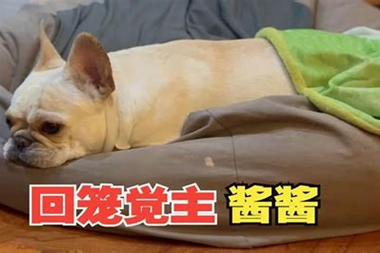 风水上睡楼梯下有什么情况