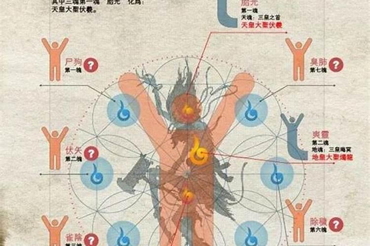 上望需要什么供品好 七天上望需要准备什么