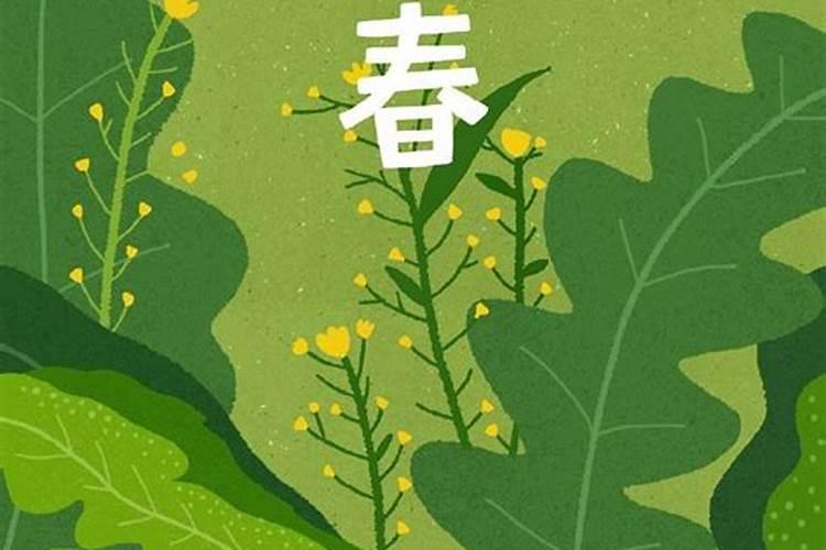 立秋习俗有哪些 立秋16种风俗活动和饮食