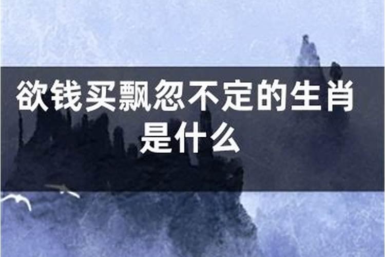 狗与猪合不合