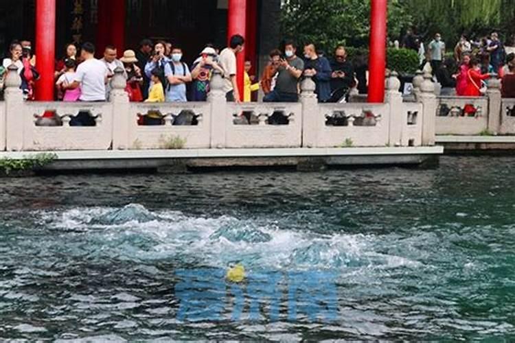 济南开始逝者花坛葬了吗？