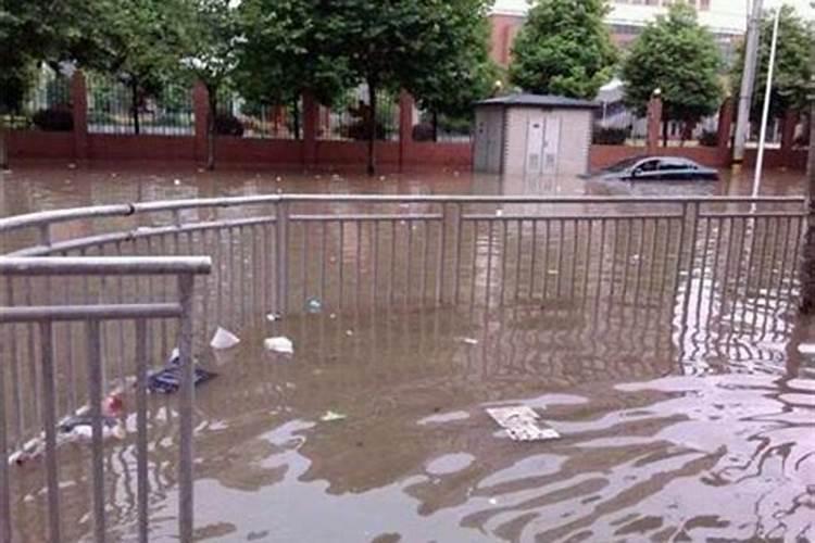梦见下雨满大街都是水