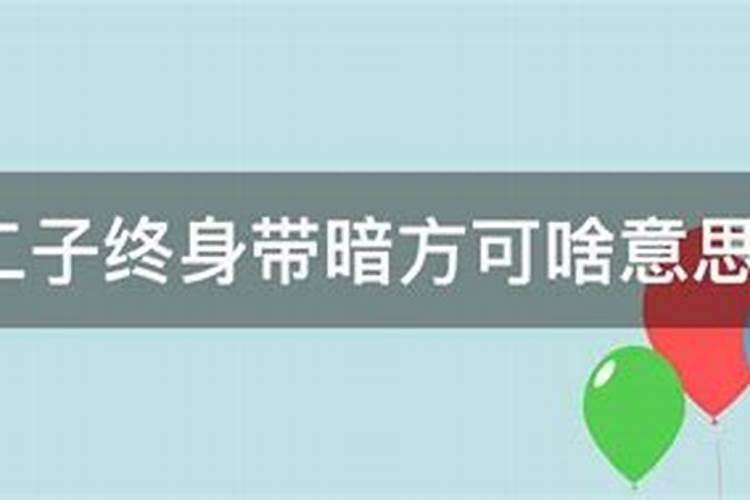 ...龙、虎、马、牛方得安,虽有二子,终生带暗方可。……是什么意思...