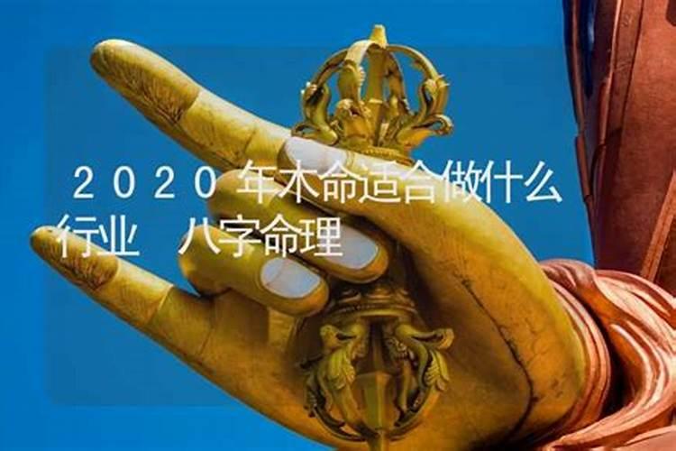 木命适合做什么行业蕞佳