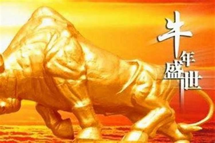 属牛冬天出生命运如何,属牛人出生时辰的命运