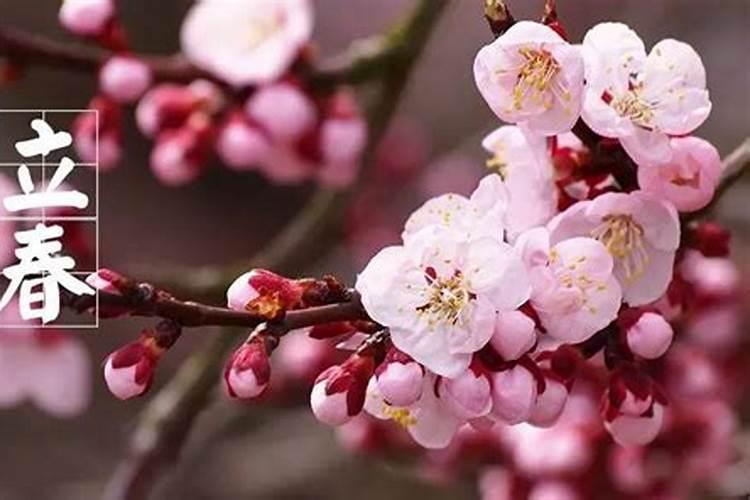 立春当天出生属相问题1997年2月4曰亥时出生属什么生肖？