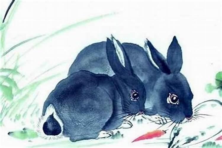 1999年生肖兔6月生一生命好吗