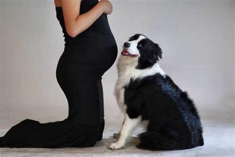 孕妇梦见狗是胎梦吗