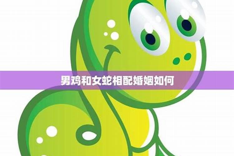 81属鸡男和77属蛇女婚配 属鸡和属蛇的婚姻如何？