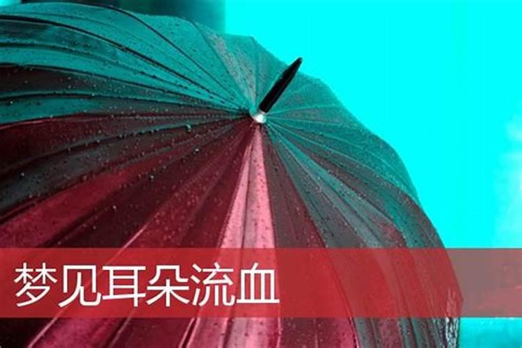 女人梦见自己耳朵出血有什么征兆