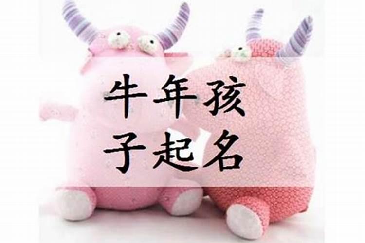 腊月出生的属牛男孩运势解析绝佳名字
