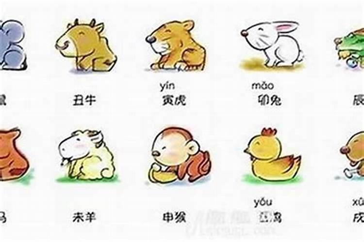 夏至未至学校在哪 夏至未至的学校是哪里