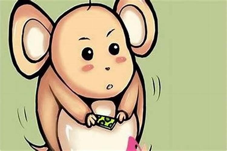 老鼠和鸡婚姻相配吗？‘