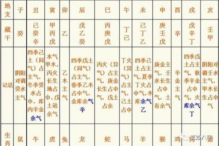 八字算命:藏干作用大吗