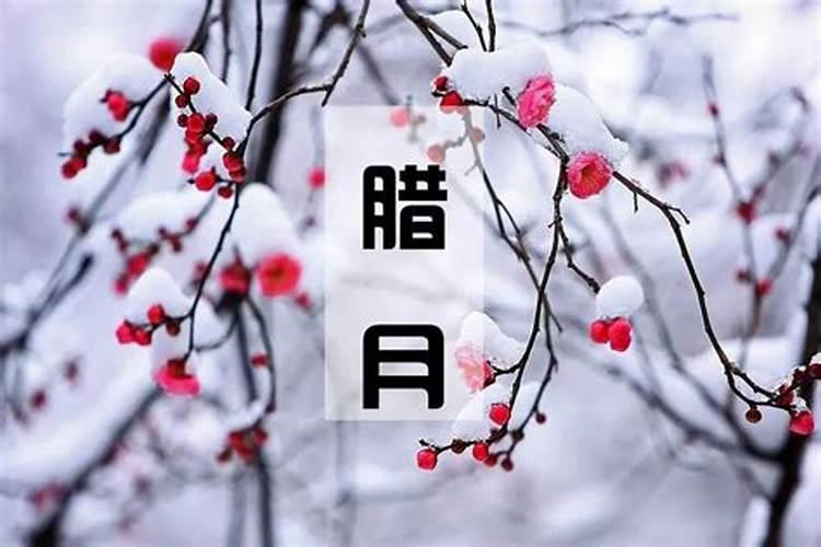 各种花开的时间都是多少？