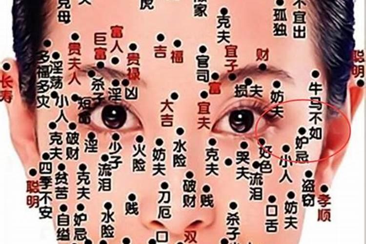 双童子有什么特殊点