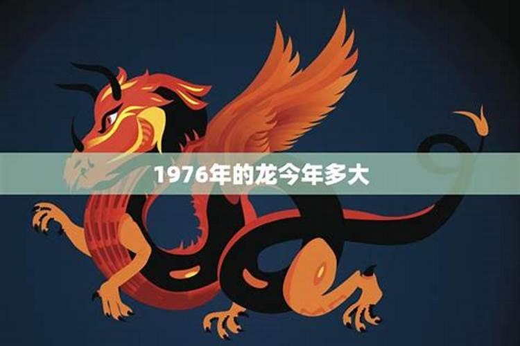 属龙和属狗的相配吗属龙和属狗的合得来吗
