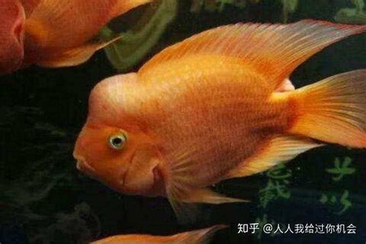 初一十五不能转钱出去吗初一十五能转钱吗